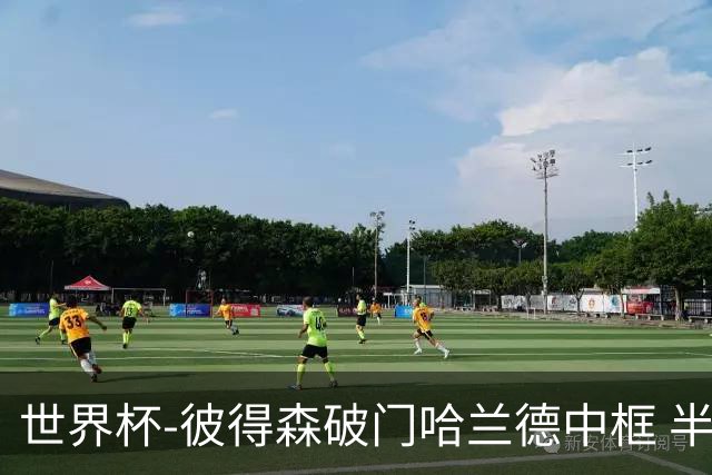 世界杯-彼得森破门哈兰德中框 半场挪威1-0塞内加尔